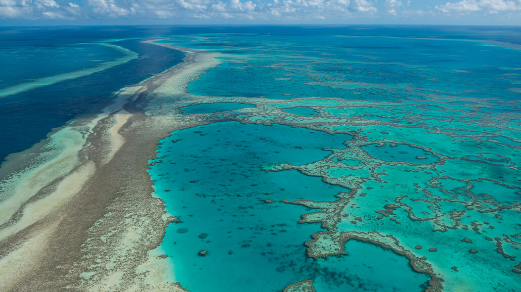 Great Barrier Reef inches closer to the “danger” zone