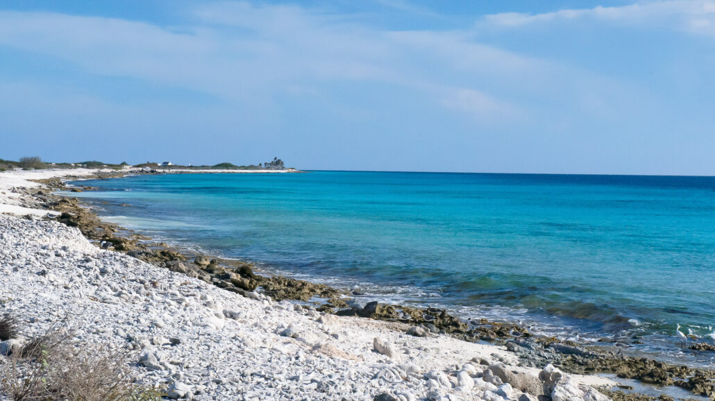 Bonaire is famous for its abundant shore diving opportunities.