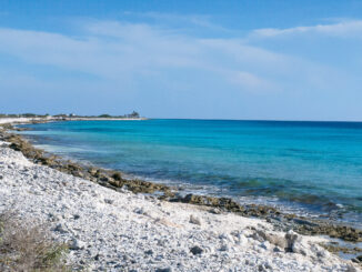 Bonaire is famous for its abundant shore diving opportunities.