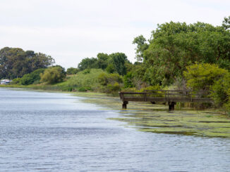 Brannan Island State Recreation Area is part of a maze of waterways and marshes in the Sacramento-San Joaquin River Delta.