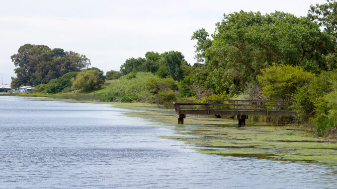 Brannan Island State Recreation Area is part of a maze of waterways and marshes in the Sacramento-San Joaquin River Delta.