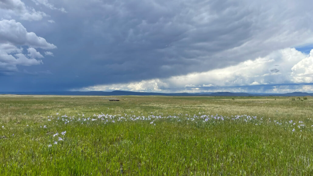 Wyoming Toad Conservation Area