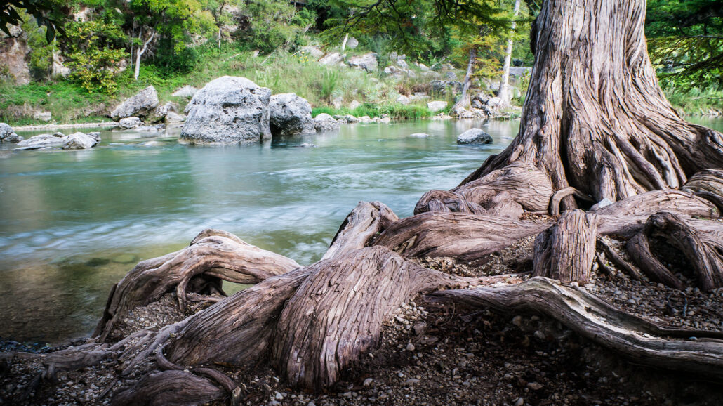 Guadalupe River State Park is one of the popular state parks near Austin and San Antonio in Texas.