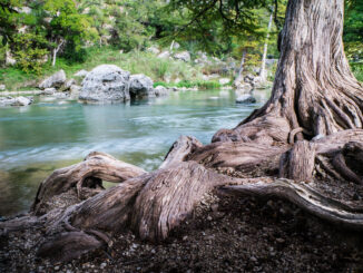 Guadalupe River State Park is one of the popular state parks near Austin and San Antonio in Texas.