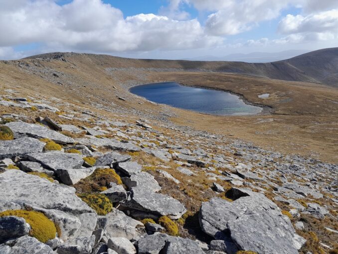 The Falkland Islands will establish its first national park