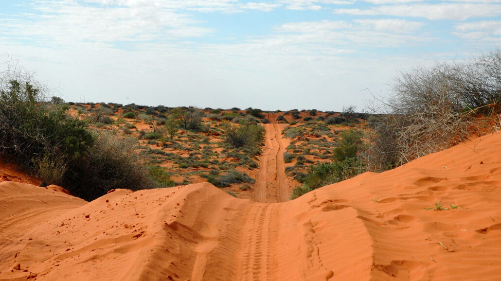 Munga-Thirri—Simpson Desert National Park is located in the center of the Simp­son Desert in Australia.