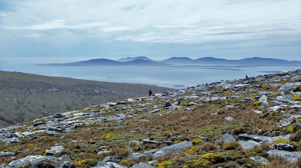 The western shoulder of Mt Adam with views towards Saunders Island. (Photo courtesy of Falklands Conservation)