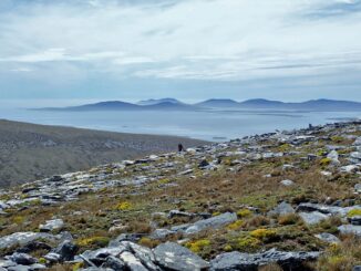 The western shoulder of Mt Adam with views towards Saunders Island. (Photo courtesy of Falklands Conservation)