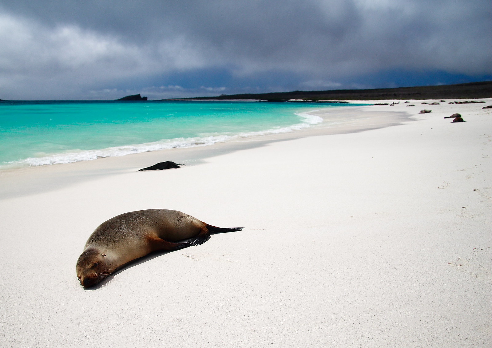 Galapagos should sell the sand and sea to attract visitors - study