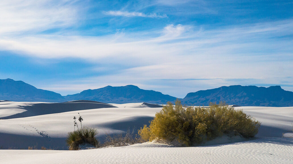 White Sands National Park in New Mexico is one of the most popular national parks attracting tourists. (Ellie Teramoto / Public Parks)