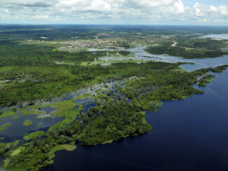Aerial view of Amazon forest
