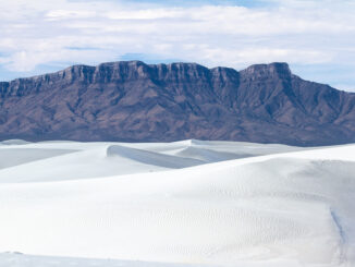 Fossil human footprints were found at an undisclosed location at White Sands National Park in New Mexico.