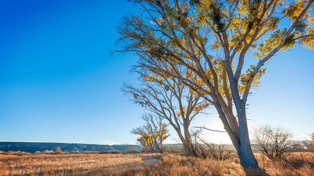 Rockin’ River Ranch State Park is about 209 acres or almost 85 hectares in area and features six separate hiking trails.