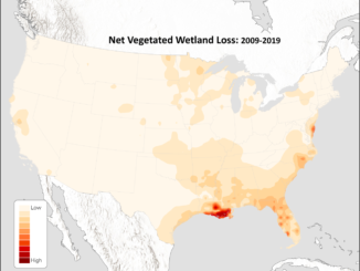 Wetland loss in the US accelerated from 2009 to 2019. Southern Louisiana saw the worst losses.