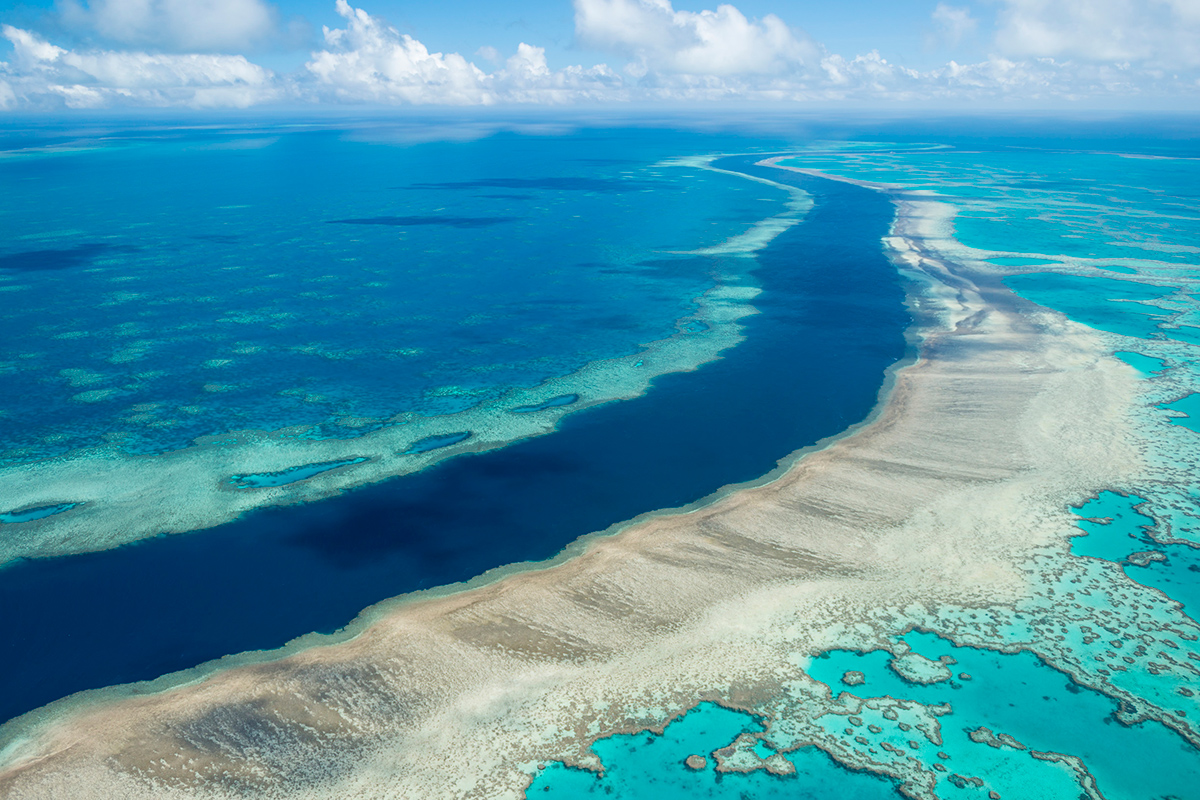 Great Barrier Reef hit by another coral bleaching event