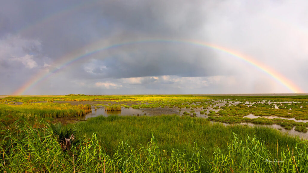 The US Department of the Interior announced the expansion of four national wildlife refuges.