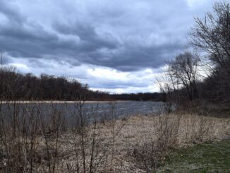 George Wyth State Park in Iowa will close due to flooding.