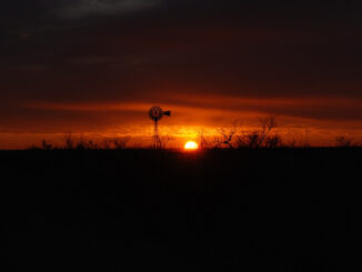 The US Fish and Wildlife Service wants to expand Muleshoe National Wildlife Refuge by ten times its current size.