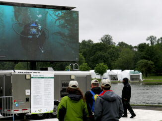 A live underwater broadcast from Channel Islands National Park is shown during a BioBlitz event in 2016.