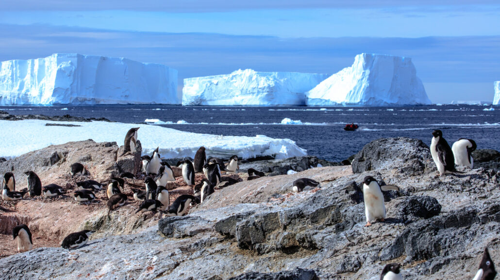 Gourdin Island near the Antarctic Peninsula.