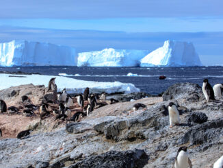 Gourdin Island near the Antarctic Peninsula.