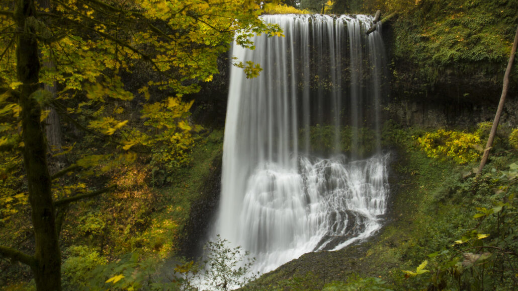 Silver Falls State Park in Oregon.