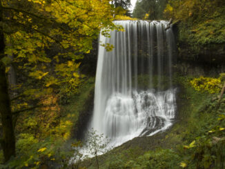 Silver Falls State Park in Oregon.