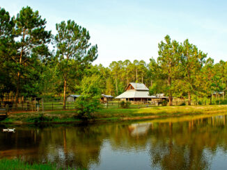 Heritage Farm at General Coffee State Park, Georgia. Hurricane damage will see the park closed until January 1.