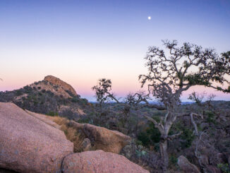 A view from the heart of Enchanted Rock State Natural Area, Texas.