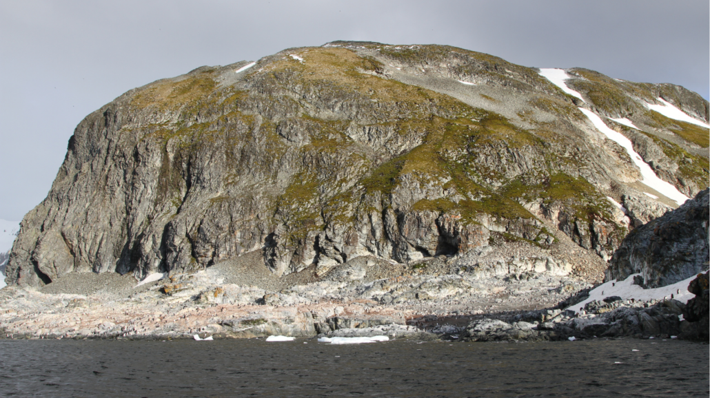 Areas in and around the Antarctic Peninsula are becoming greening, including Cuverville Island.