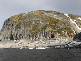 Areas in and around the Antarctic Peninsula are becoming greening, including Cuverville Island.