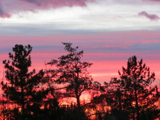 Sunset at Golden Gate Canyon State Park in Colorado.