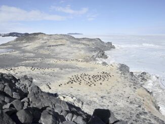 An image of the Antarctic coast near US and New Zealand research stations.