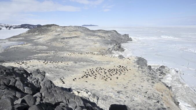An image of the Antarctic coast near US and New Zealand research stations.