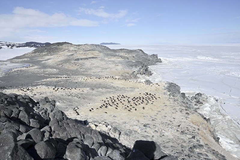 5245346982_dc59d8dcc1_c An image of the Antarctic coast near US and New Zealand research stations.