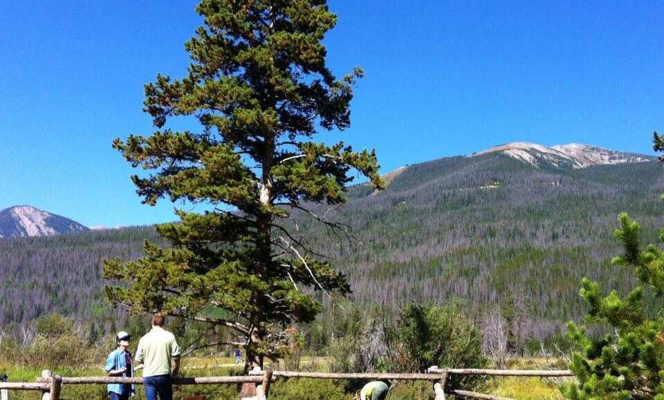 Public Parks conducting an interview at a decidedly uncrowded Rocky Mountain National Park in Colorado.
