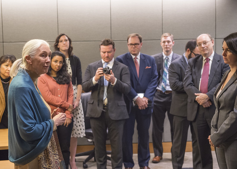 Jane Goodall meeting with US diplomats in October 2015.