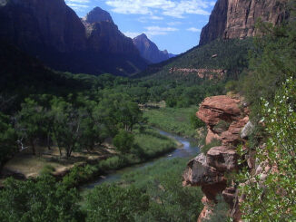 Zion National Park in Utah, USA. Visitors may have to contend with dirty restrooms and overflowing trash bins thanks the Congress' shutdown of the federal government.