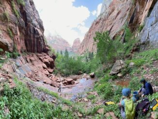 Katie Willi, Scientists in Parks intern Rose Weisgerber and Zion National Park water system operator Matt MacKay collect samples at a spring water source in Zion National Park that emerges from the Navajo Sandstone into a hanging garden.