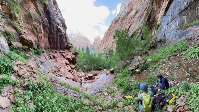 Katie Willi, Scientists in Parks intern Rose Weisgerber and Zion National Park water system operator Matt MacKay collect samples at a spring water source in Zion National Park that emerges from the Navajo Sandstone into a hanging garden.