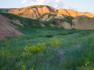 Badlands National Park, South Dakota, USA.