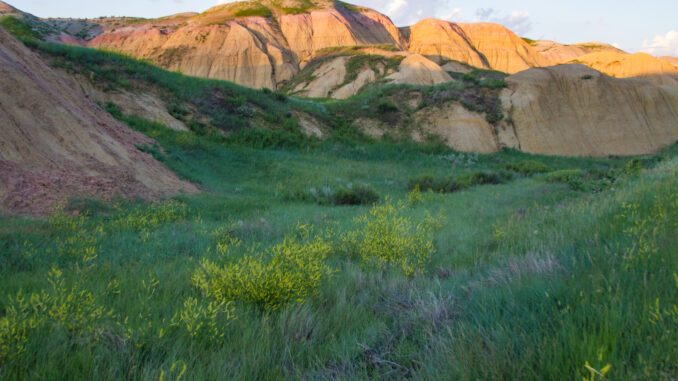 Badlands National Park, South Dakota, USA.