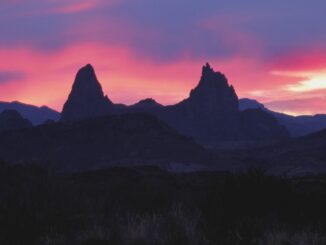 Mule Ears at sunset, Big Bend National Park, Texas, USA.