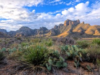 Big Bend National Park, Texas, USA.