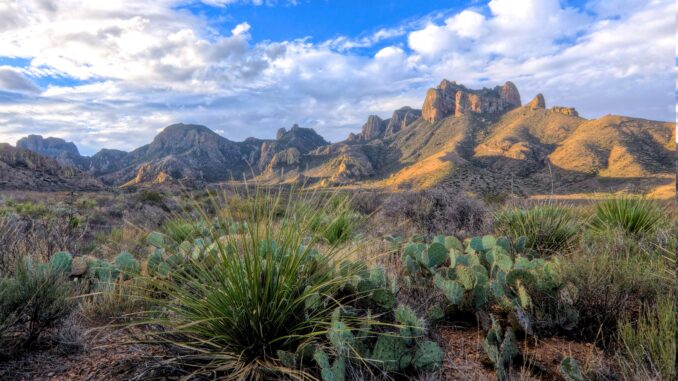 Big Bend National Park, Texas, USA.