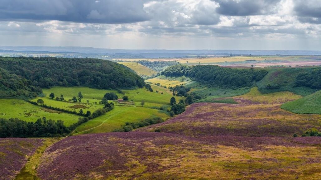 North Moors National Park, United Kingdom.